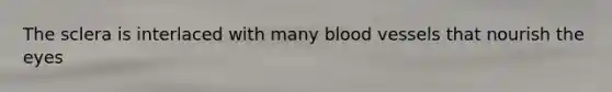 The sclera is interlaced with many blood vessels that nourish the eyes