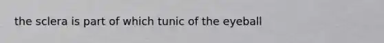 the sclera is part of which tunic of the eyeball