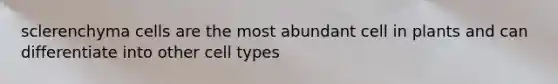 sclerenchyma cells are the most abundant cell in plants and can differentiate into other cell types