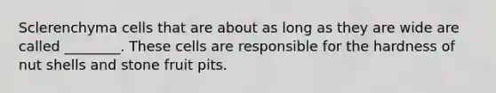 Sclerenchyma cells that are about as long as they are wide are called ________. These cells are responsible for the hardness of nut shells and stone fruit pits.