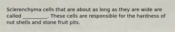Sclerenchyma cells that are about as long as they are wide are called __________. These cells are responsible for the hardness of nut shells and stone fruit pits.