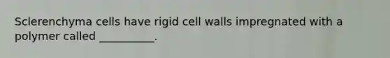 Sclerenchyma cells have rigid cell walls impregnated with a polymer called __________.