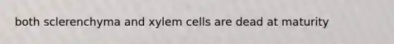 both sclerenchyma and xylem cells are dead at maturity