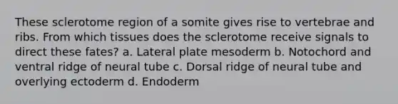 These sclerotome region of a somite gives rise to vertebrae and ribs. From which tissues does the sclerotome receive signals to direct these fates? a. Lateral plate mesoderm b. Notochord and ventral ridge of neural tube c. Dorsal ridge of neural tube and overlying ectoderm d. Endoderm