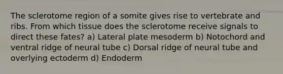 The sclerotome region of a somite gives rise to vertebrate and ribs. From which tissue does the sclerotome receive signals to direct these fates? a) Lateral plate mesoderm b) Notochord and ventral ridge of neural tube c) Dorsal ridge of neural tube and overlying ectoderm d) Endoderm