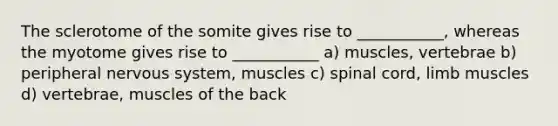 The sclerotome of the somite gives rise to ___________, whereas the myotome gives rise to ___________ a) muscles, vertebrae b) peripheral nervous system, muscles c) spinal cord, limb muscles d) vertebrae, muscles of the back