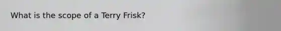 What is the scope of a Terry Frisk?