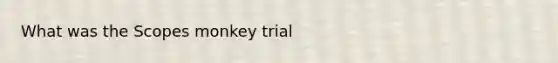 What was the Scopes monkey trial