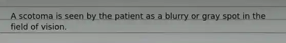 A scotoma is seen by the patient as a blurry or gray spot in the field of vision.