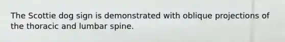 The Scottie dog sign is demonstrated with oblique projections of the thoracic and lumbar spine.