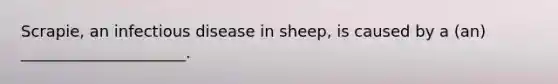 Scrapie, an infectious disease in sheep, is caused by a (an) _____________________.