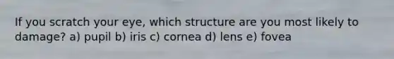 If you scratch your eye, which structure are you most likely to damage? a) pupil b) iris c) cornea d) lens e) fovea