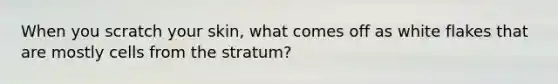 When you scratch your skin, what comes off as white flakes that are mostly cells from the stratum?