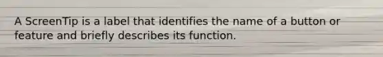 A ScreenTip is a label that identifies the name of a button or feature and briefly describes its function.