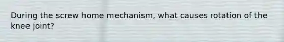 During the screw home mechanism, what causes rotation of the knee joint?