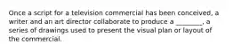 Once a script for a television commercial has been conceived, a writer and an art director collaborate to produce a ________, a series of drawings used to present the visual plan or layout of the commercial.