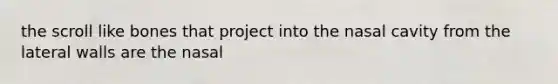 the scroll like bones that project into the nasal cavity from the lateral walls are the nasal