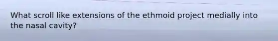 What scroll like extensions of the ethmoid project medially into the nasal cavity?