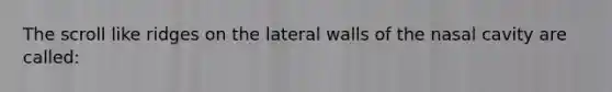 The scroll like ridges on the lateral walls of the nasal cavity are called: