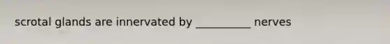 scrotal glands are innervated by __________ nerves