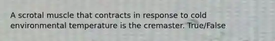 A scrotal muscle that contracts in response to cold environmental temperature is the cremaster. True/False