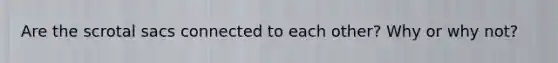 Are the scrotal sacs connected to each other? Why or why not?