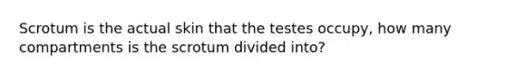 Scrotum is the actual skin that the testes occupy, how many compartments is the scrotum divided into?