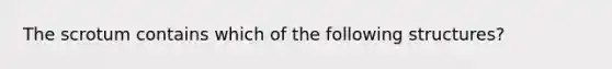 The scrotum contains which of the following structures?