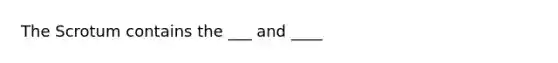 The Scrotum contains the ___ and ____