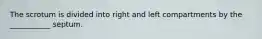 The scrotum is divided into right and left compartments by the ___________ septum.
