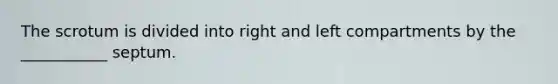 The scrotum is divided into right and left compartments by the ___________ septum.