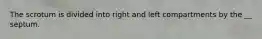 The scrotum is divided into right and left compartments by the __ septum.
