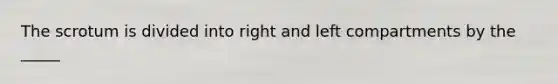 The scrotum is divided into right and left compartments by the _____