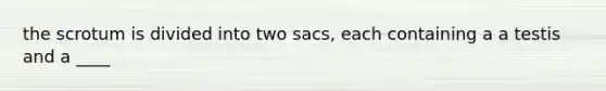 the scrotum is divided into two sacs, each containing a a testis and a ____