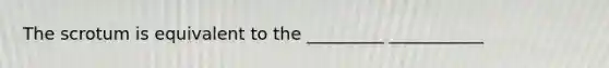 The scrotum is equivalent to the _________ ___________