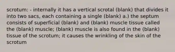 scrotum: - internally it has a vertical scrotal (blank) that divides it into two sacs, each containing a single (blank) a.) the septum consists of superficial (blank) and (blank) muscle tissue called the (blank) muscle; (blank) muscle is also found in the (blank) tissue of the scrotum; it causes the wrinkling of the skin of the scrotum