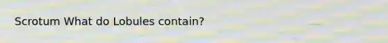 Scrotum What do Lobules contain?