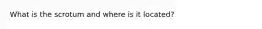 What is the scrotum and where is it located?