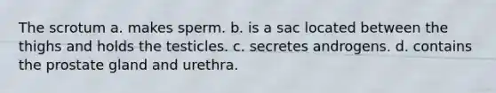 The scrotum a. makes sperm. b. is a sac located between the thighs and holds the testicles. c. secretes androgens. d. contains the prostate gland and urethra.