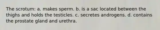 The scrotum: a. makes sperm. b. is a sac located between the thighs and holds the testicles. c. secretes androgens. d. contains the prostate gland and urethra.