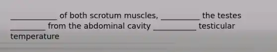 ____________ of both scrotum muscles, __________ the testes _________ from the abdominal cavity ___________ testicular temperature