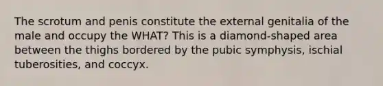 The scrotum and penis constitute the external genitalia of the male and occupy the WHAT? This is a diamond-shaped area between the thighs bordered by the pubic symphysis, ischial tuberosities, and coccyx.