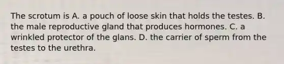 The scrotum is A. a pouch of loose skin that holds the testes. B. the male reproductive gland that produces hormones. C. a wrinkled protector of the glans. D. the carrier of sperm from the testes to the urethra.