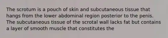 The scrotum is a pouch of skin and subcutaneous tissue that hangs from the lower abdominal region posterior to the penis. The subcutaneous tissue of the scrotal wall lacks fat but contains a layer of smooth muscle that constitutes the