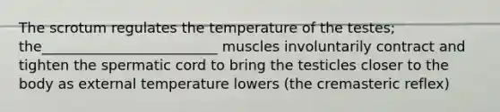 The scrotum regulates the temperature of the testes; the_________________________ muscles involuntarily contract and tighten the spermatic cord to bring the testicles closer to the body as external temperature lowers (the cremasteric reflex)