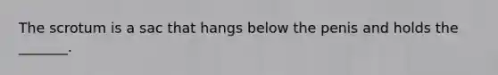 The scrotum is a sac that hangs below the penis and holds the _______.