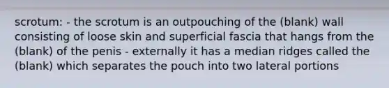 scrotum: - the scrotum is an outpouching of the (blank) wall consisting of loose skin and superficial fascia that hangs from the (blank) of the penis - externally it has a median ridges called the (blank) which separates the pouch into two lateral portions