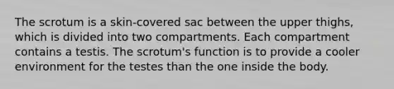 The scrotum is a skin-covered sac between the upper thighs, which is divided into two compartments. Each compartment contains a testis. The scrotum's function is to provide a cooler environment for the testes than the one inside the body.