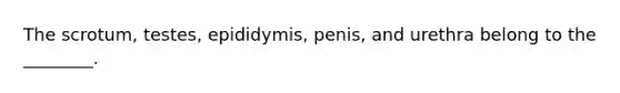 The scrotum, testes, epididymis, penis, and urethra belong to the ________.