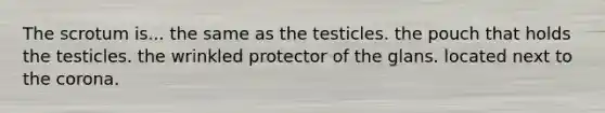 The scrotum is... the same as the testicles. the pouch that holds the testicles. the wrinkled protector of the glans. located next to the corona.